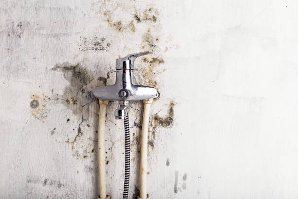 Best Mold Removal Near Me  in Ford City, PA
