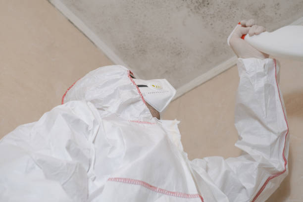 Best Residential Mold Removal  in Ford City, PA